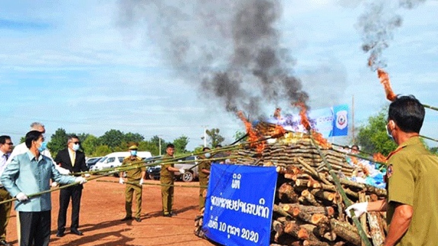 Hơn một nửa số vụ phạm tội ở Lào liên quan đến ma túy